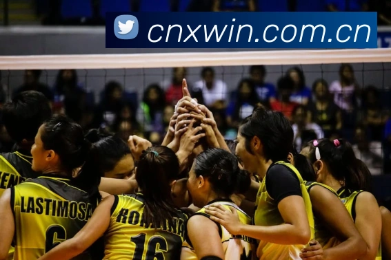 开云官方登录平台生态图